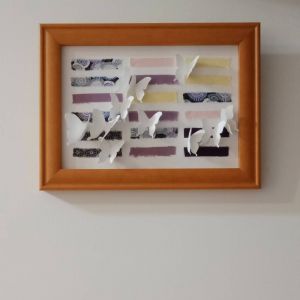 純全潔白的蝴蝶