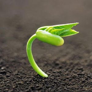 藝術的救贖(一)