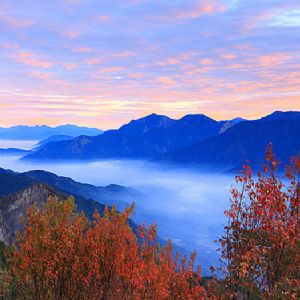 藝術的救贖(二)