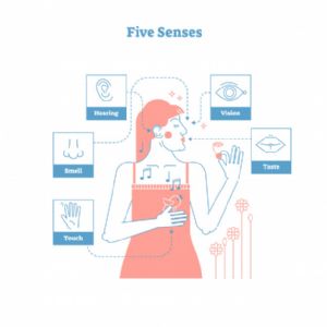 五感藝術療癒師證照班